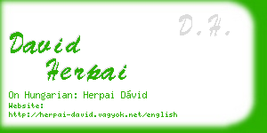 david herpai business card